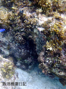 f0190653_9282337.jpg