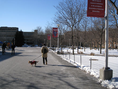 b0050356_11371522.jpg
