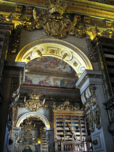 e0098256_225955.jpg