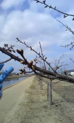 f0074659_1459181.jpg