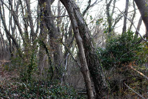 c0043361_2350482.jpg