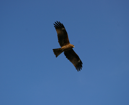 c0032567_141566.jpg