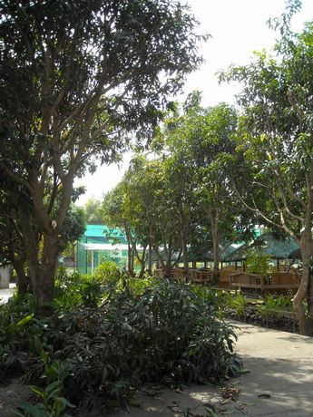 f0062870_12433770.jpg