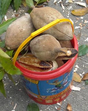 f0062870_1244331.jpg