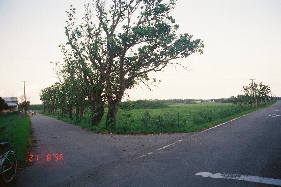 b0116271_141146.jpg