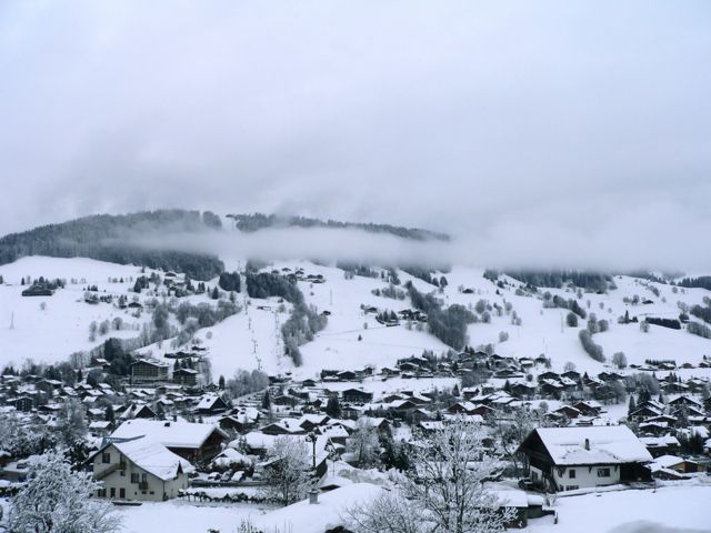 d0008073_23393739.jpg
