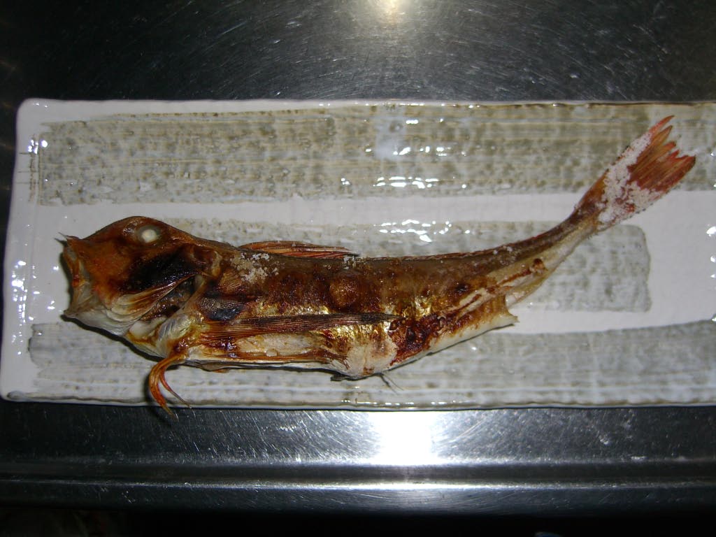 e0023183_0333416.jpg