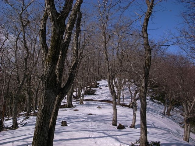 e0129083_2040769.jpg