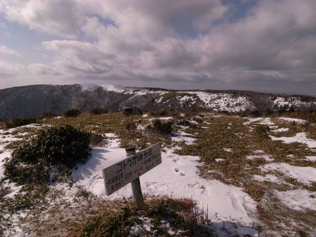 e0129083_20594045.jpg
