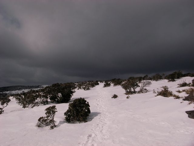 e0129083_2115743.jpg