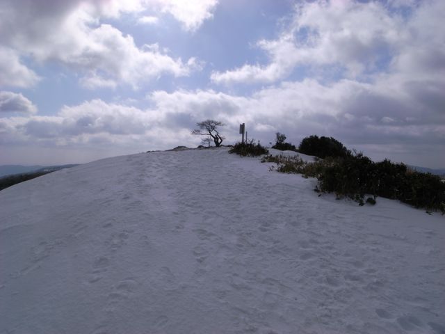 e0129083_21205912.jpg