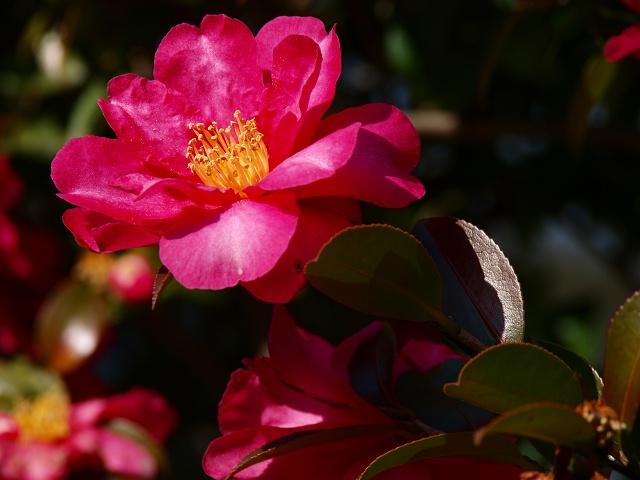 c0187587_11421350.jpg