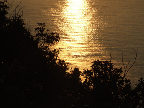 e0028387_022917.jpg