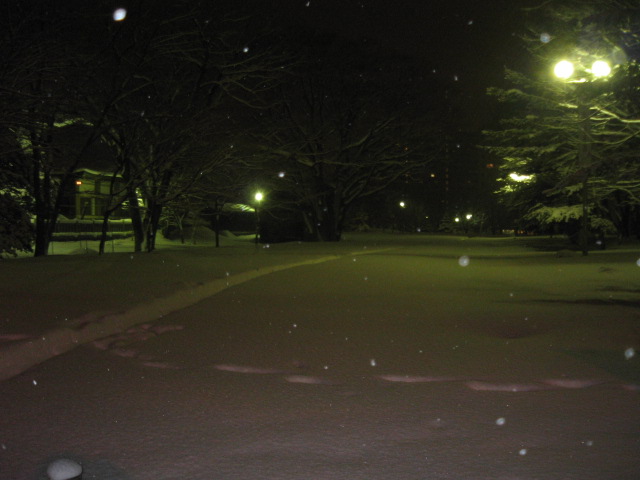 b0129500_1623612.jpg
