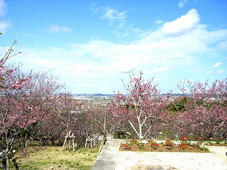 c0076204_10472538.jpg
