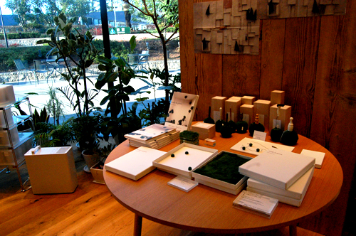 d0015006_113366.jpg