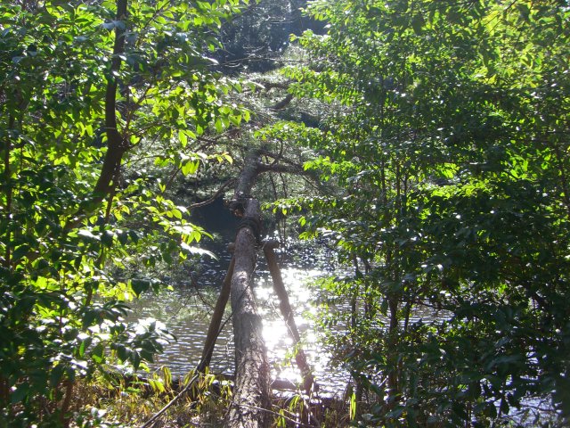 a0088007_127169.jpg