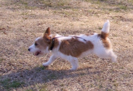 e0078510_21393737.jpg