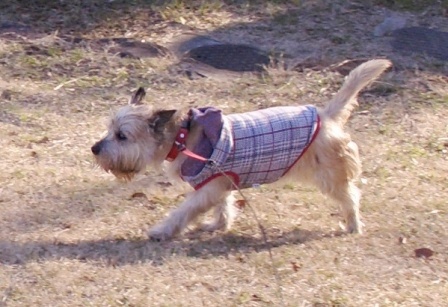 e0078510_21394592.jpg