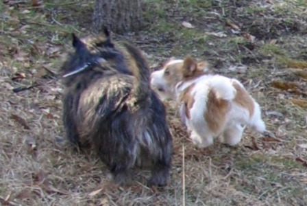e0078510_2150695.jpg