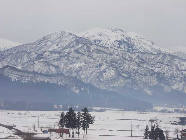 e0049318_1351229.jpg