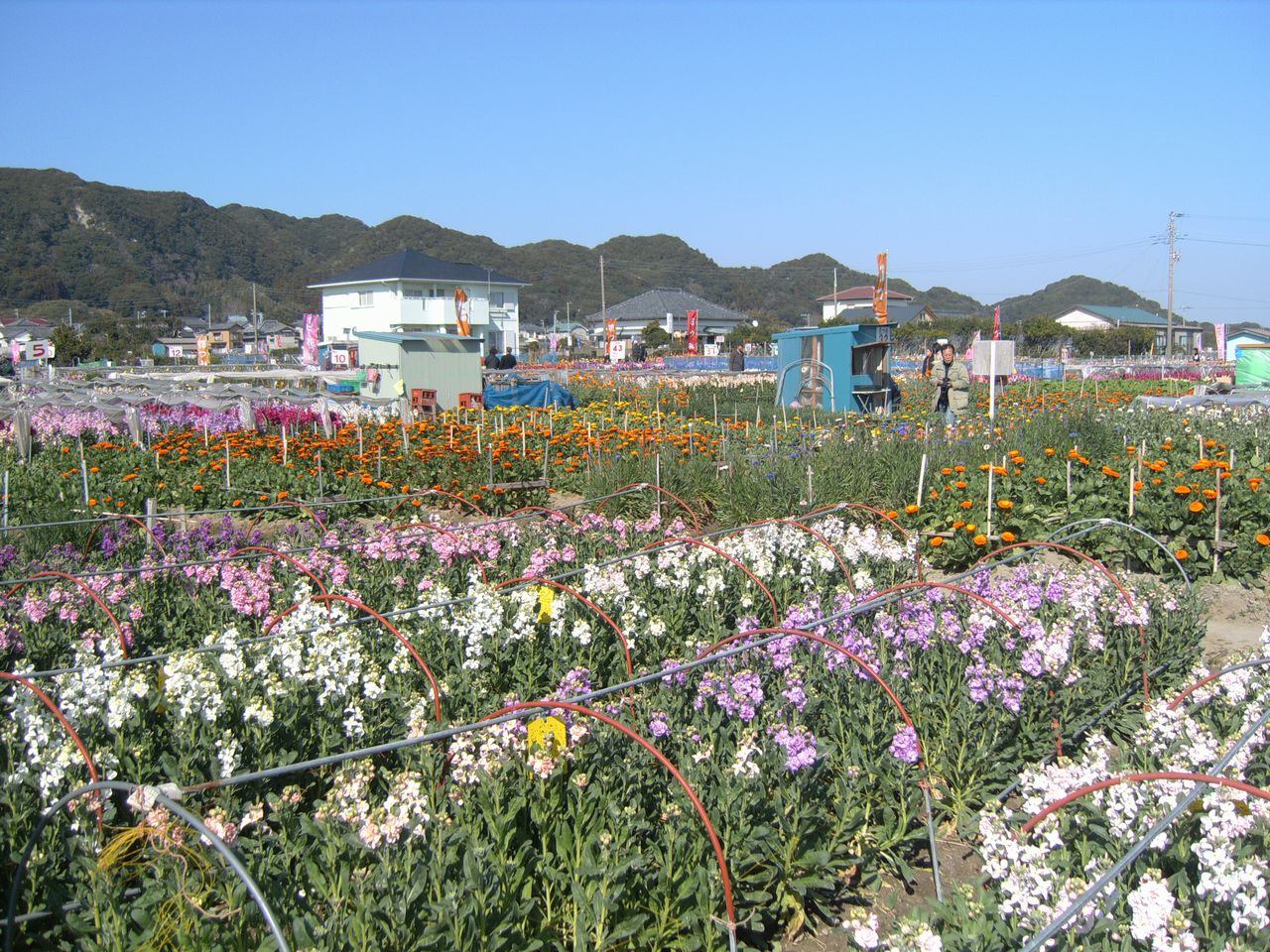 c0150520_1048290.jpg
