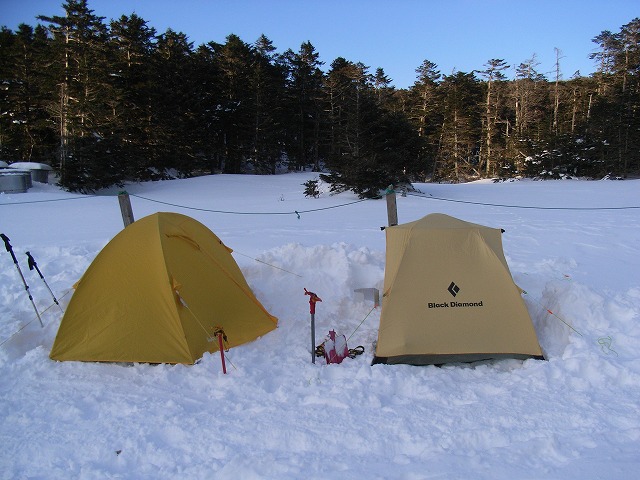 d0111124_23583956.jpg