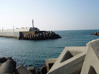 b0008825_21124272.jpg