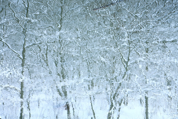 d0148125_21334336.jpg