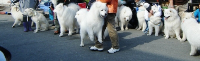 e0024126_228766.jpg