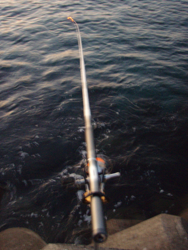 f0103126_20113142.jpg
