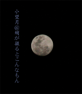 d0042827_210461.jpg