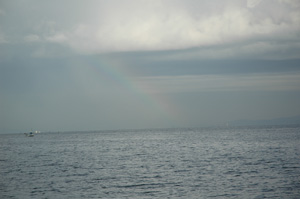 c0186528_2315415.jpg