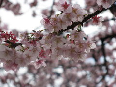 c0140230_22323648.jpg