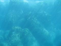c0140230_223425.jpg