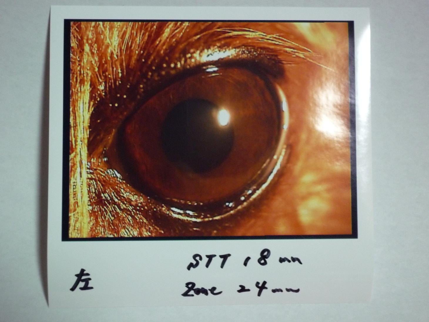 f0124830_2465952.jpg