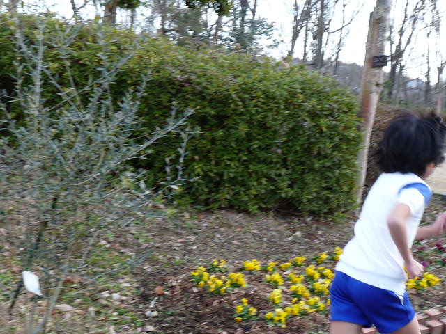 c0100534_1015723.jpg