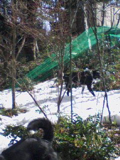 d0053940_22253070.jpg