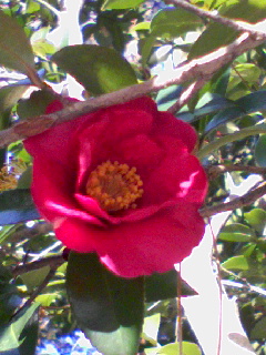 d0053940_22263962.jpg