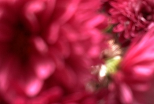 c0159844_21294825.jpg