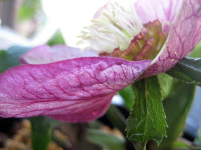 c0147952_2056159.jpg