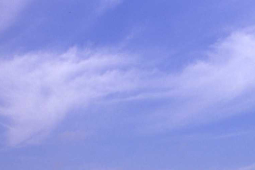 b0132755_2258348.jpg