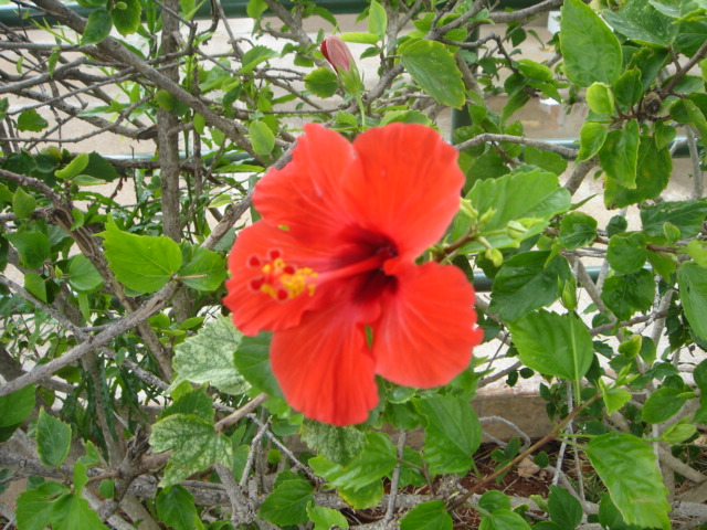 e0139660_15513853.jpg