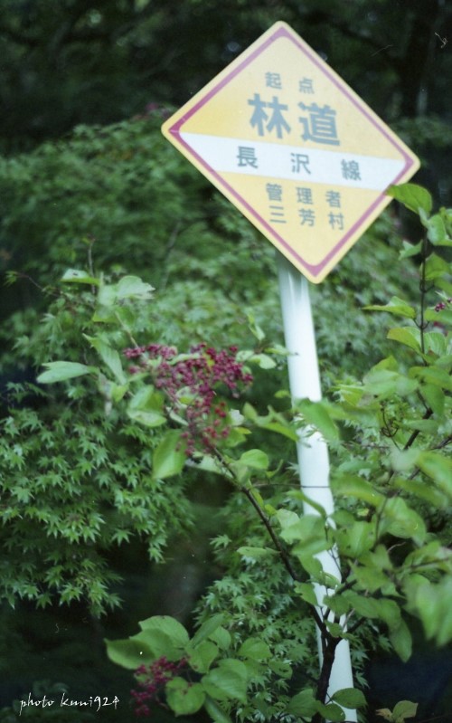 f0131365_17275584.jpg