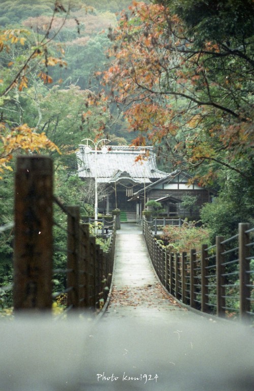 f0131365_17315182.jpg