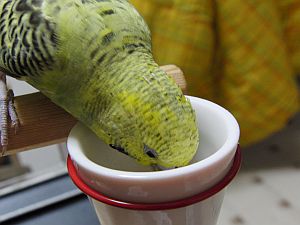 f0196665_0375576.jpg