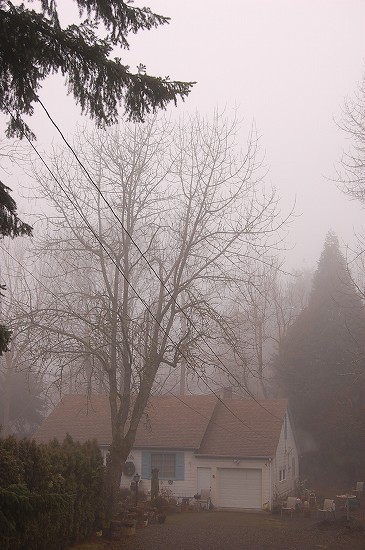e0128367_6323983.jpg