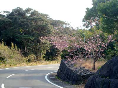 e0097770_1856724.jpg