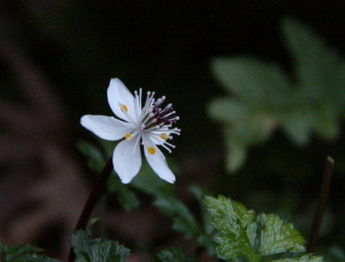 f0181173_17385729.jpg