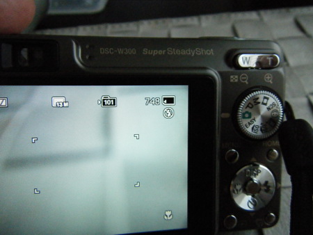a0002177_22325539.jpg